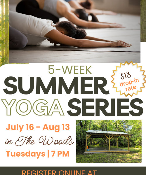 Drop-In Summer Series